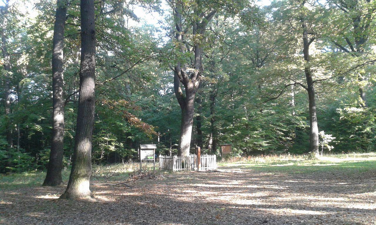 14625744 947669682005299 751432733 o