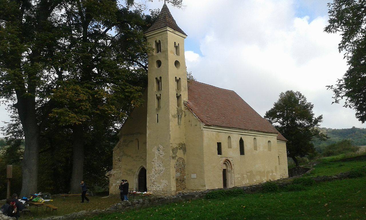 14647485 947669698671964 1618170143 o