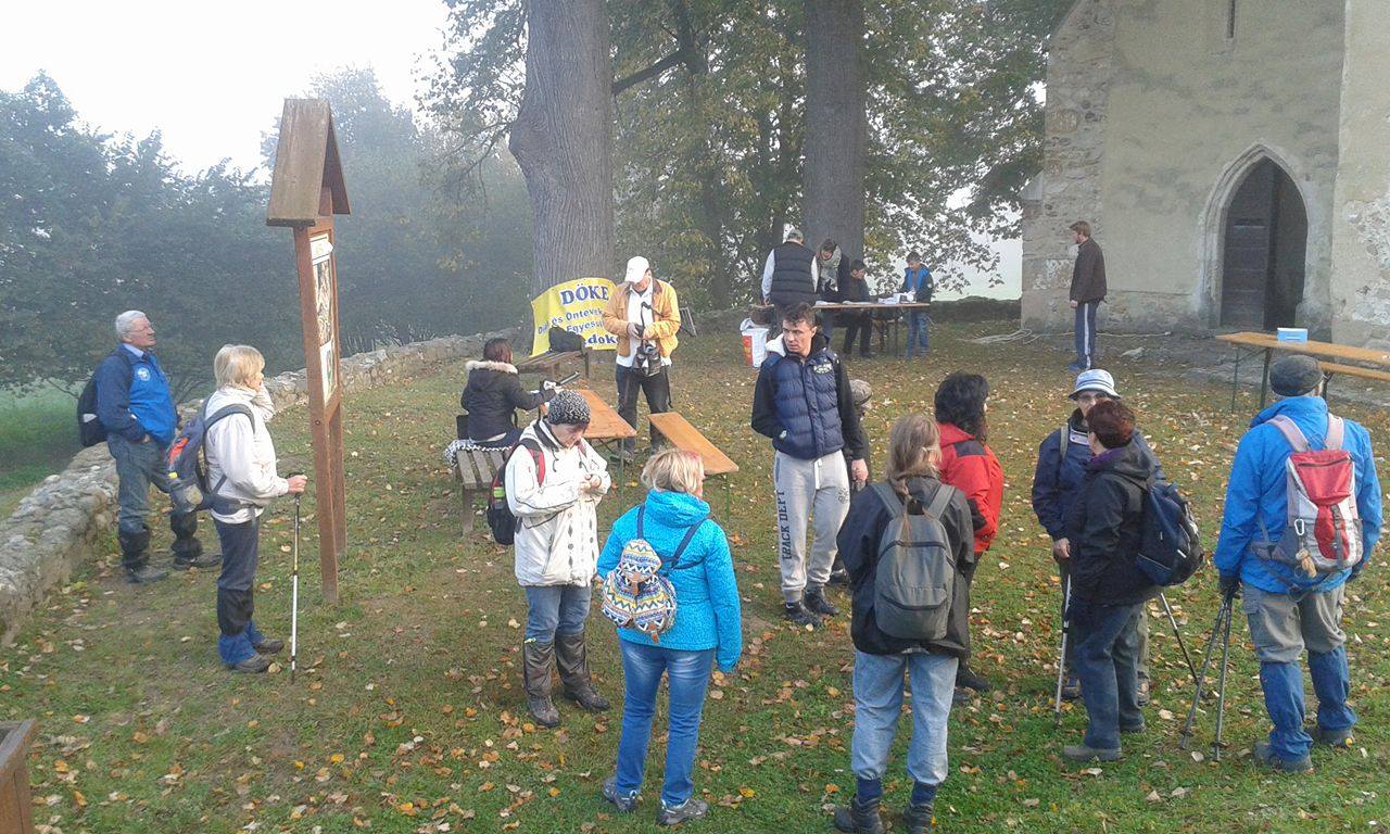 14689229 947669618671972 1257749921 o