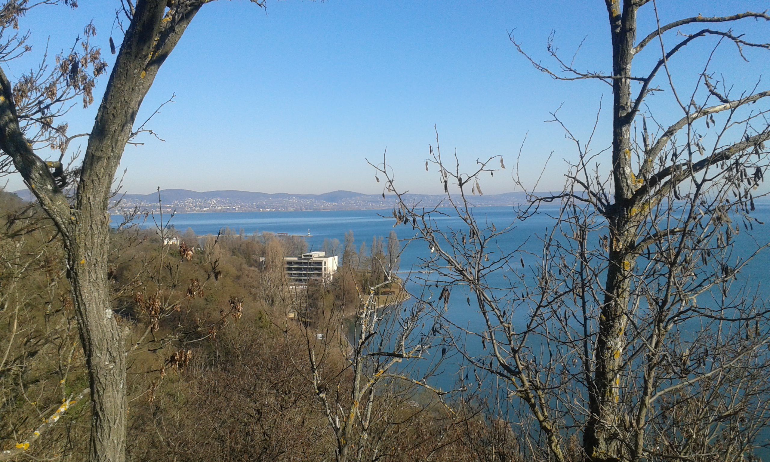 TeliTihany2016 5 mini