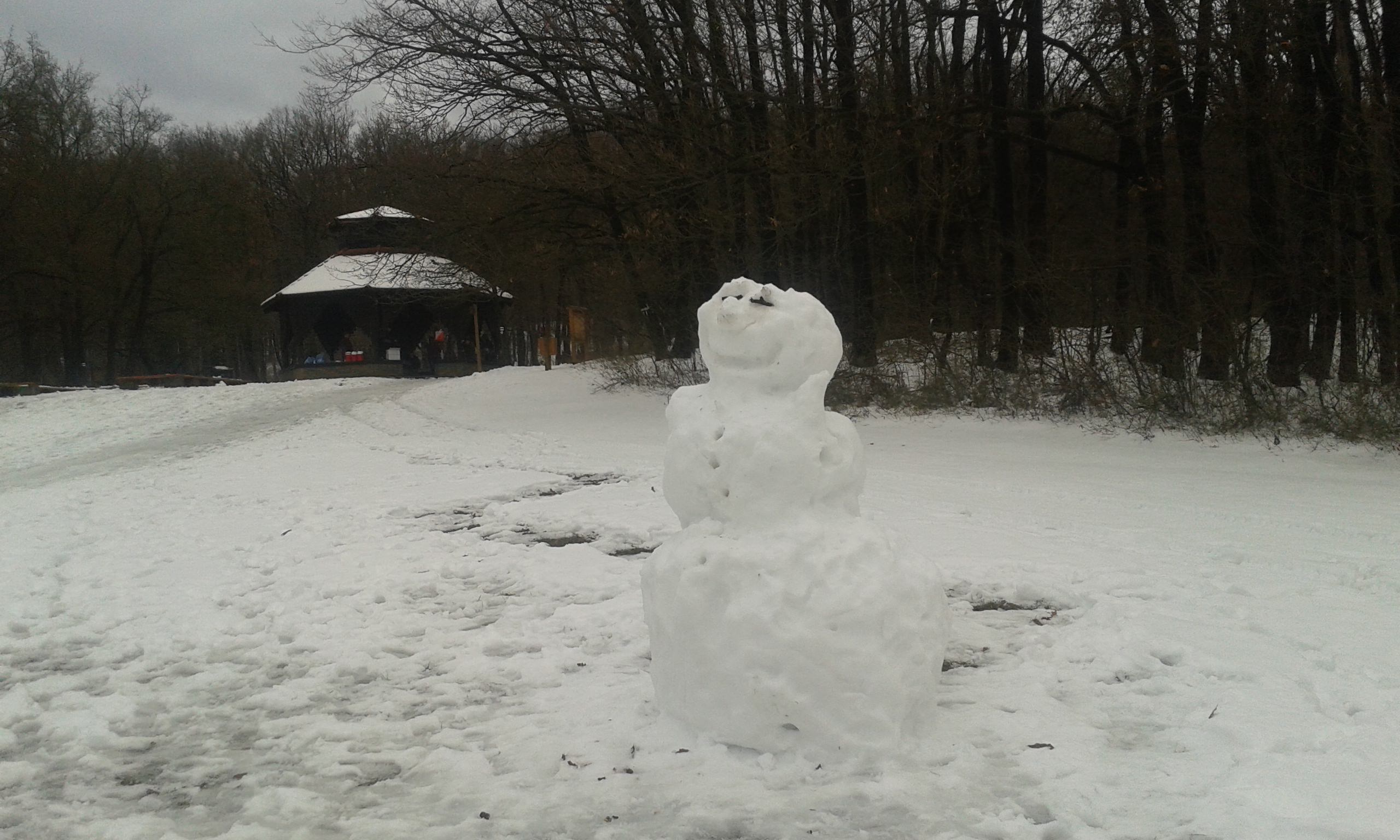 TeliesMecsek2016 2 mini