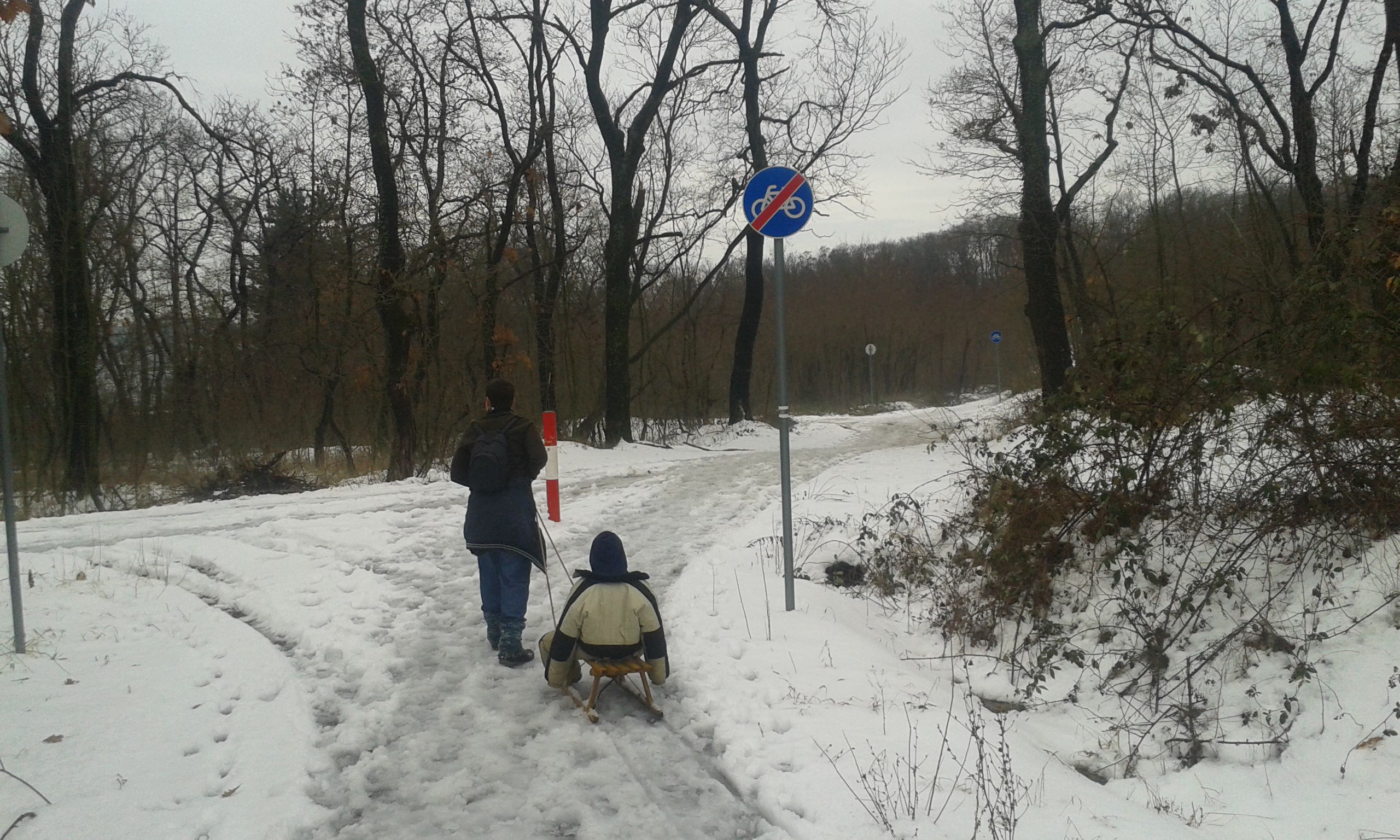 TeliesMecsek2016 3 mini