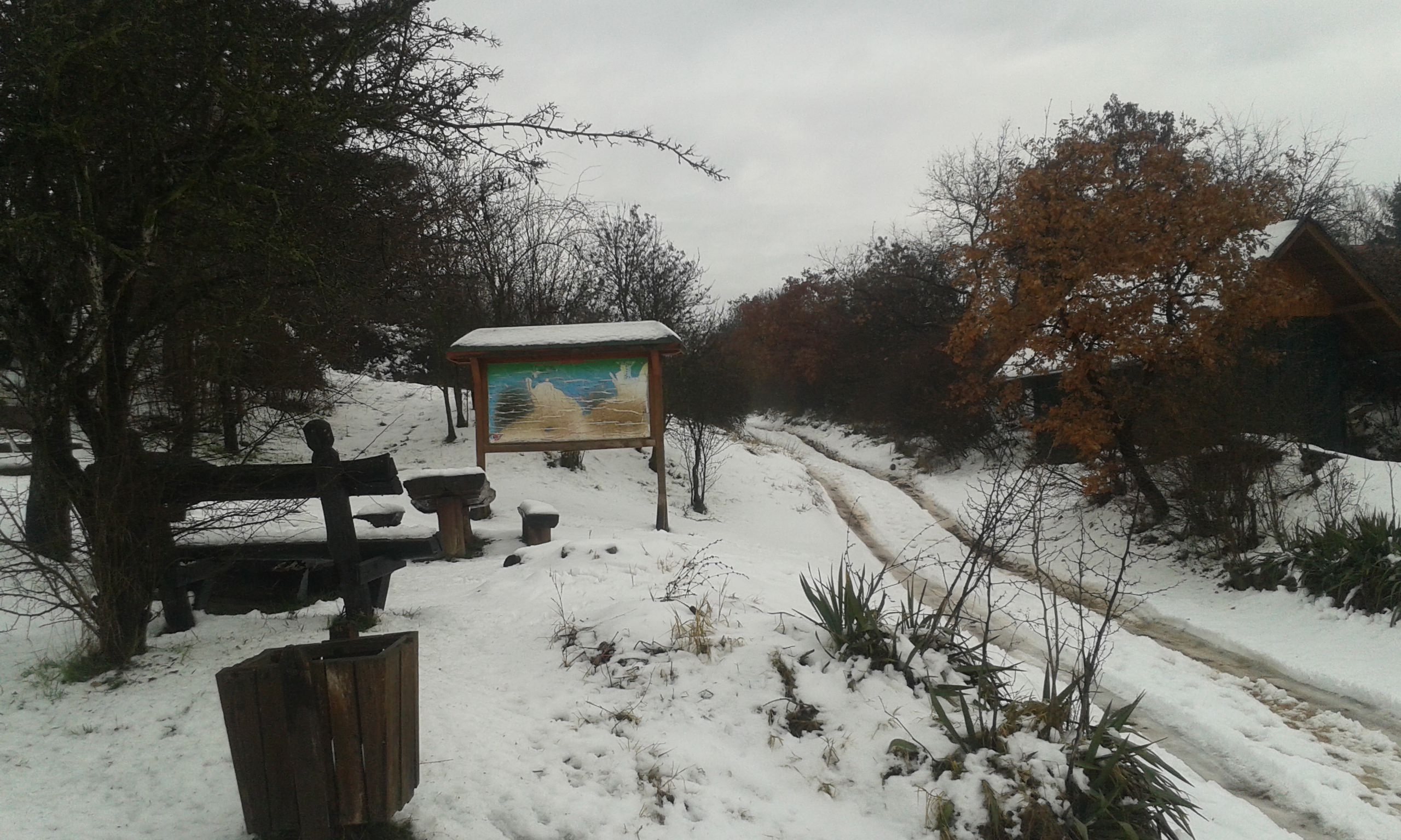 TeliesMecsek2016 5 mini